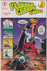 Flaming Carrot #29 B