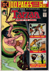 Tarzan Lord of The Jungle #232 A