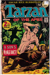 Tarzan of The Apes #208 A