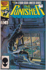 The Punisher #4 of 4 B