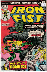 Iron Fist #2 A