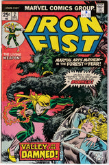 Iron Fist #2 B