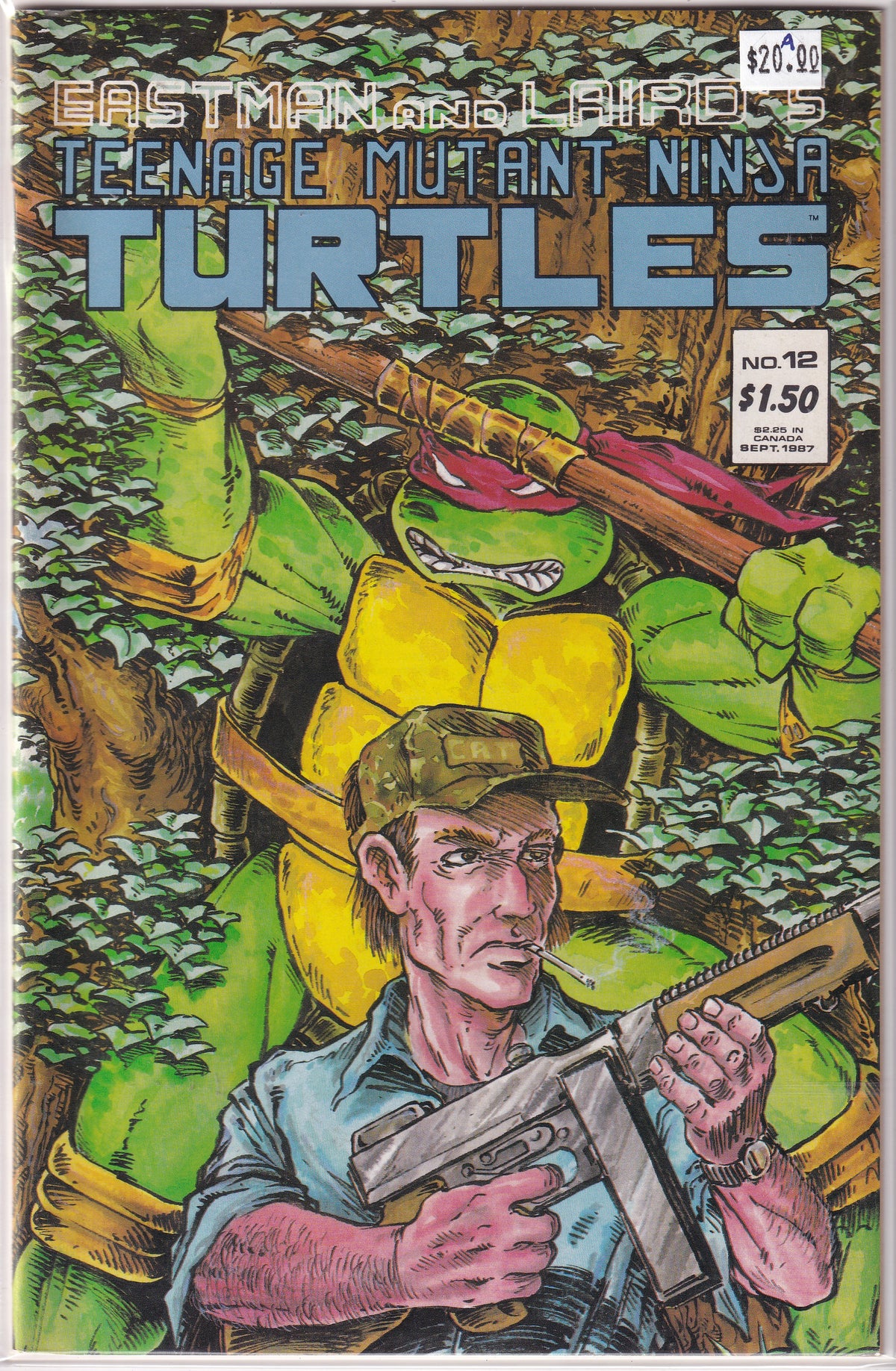 Teenage Mutant Ninja Turtles #12 A